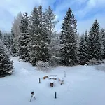 Horská chata Charming Ski-in Ski-out *
