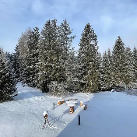 Charming Ski-in Ski-out Horská chata Lenzerheide