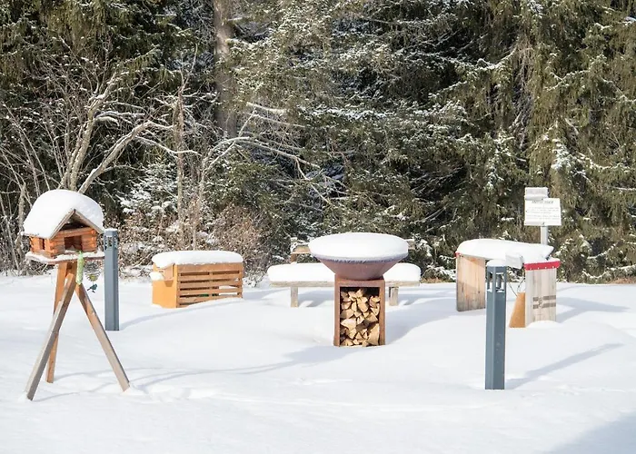 Chalet Ski-In Ski-Out Chalet Crestas For 12 Persons- Lenzerheide