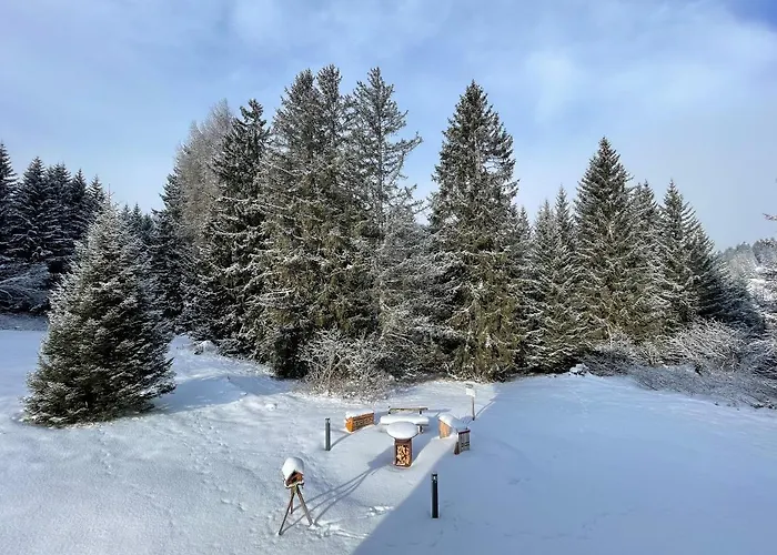 Ski-In Ski-Out Chalet Crestas For 12 Persons- Lenzerheide Chalet Lenzerheide