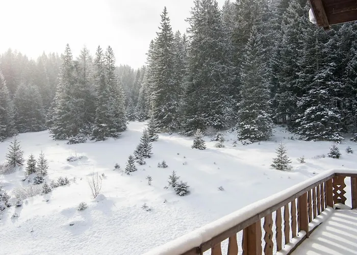 Ski-In Ski-Out Chalet Crestas For 12 Persons- Lenzerheide Chalet *