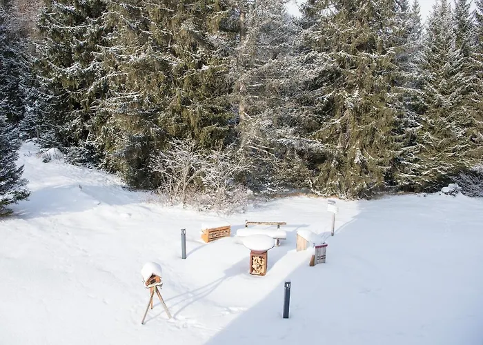 Ski-In Ski-Out Chalet Crestas For 12 Persons- Lenzerheide Chalet Lenzerheide