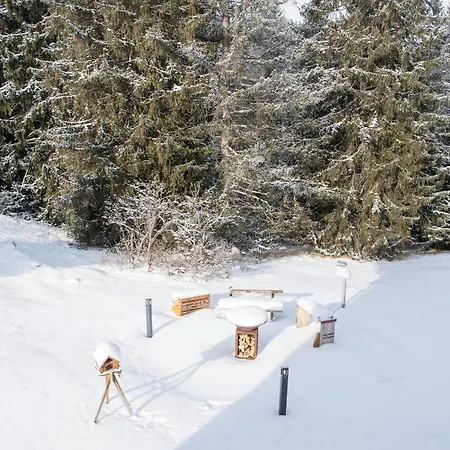 Charming Ski-in Ski-out Dağ evi Lenzerheide