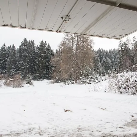 Alpehytte For 12 Persons Crestas-lenzerheide *